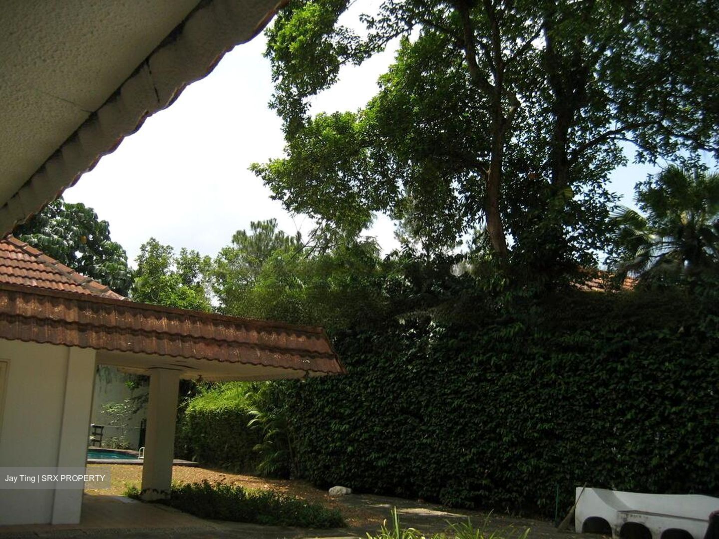 Morley Road (D10), Detached #458526841